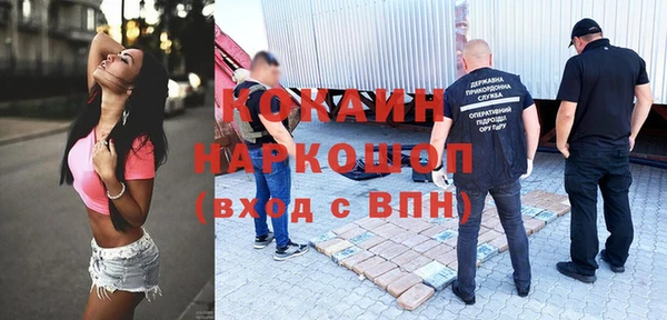 прущие грибы Армянск