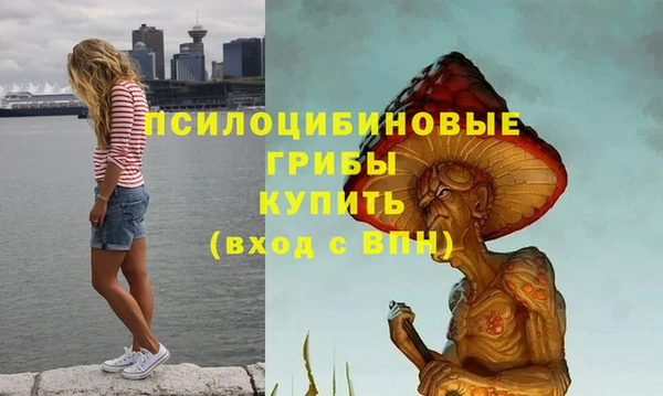 кокс Баксан