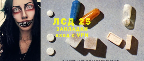 прущие грибы Армянск