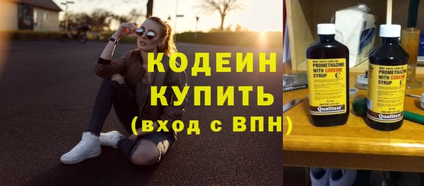прущие грибы Армянск